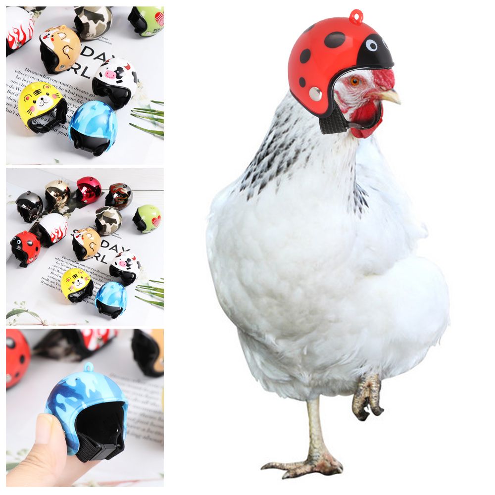 Pet X Supplies & Tack Photos - Забавные защитные головные уборы для домашних