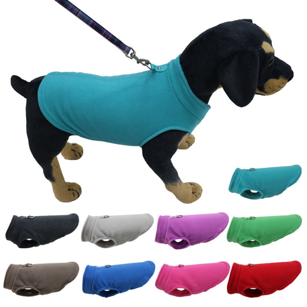 Pet Supplies In Amazon - Европа, Америка, Amazon, одежда для домашних
