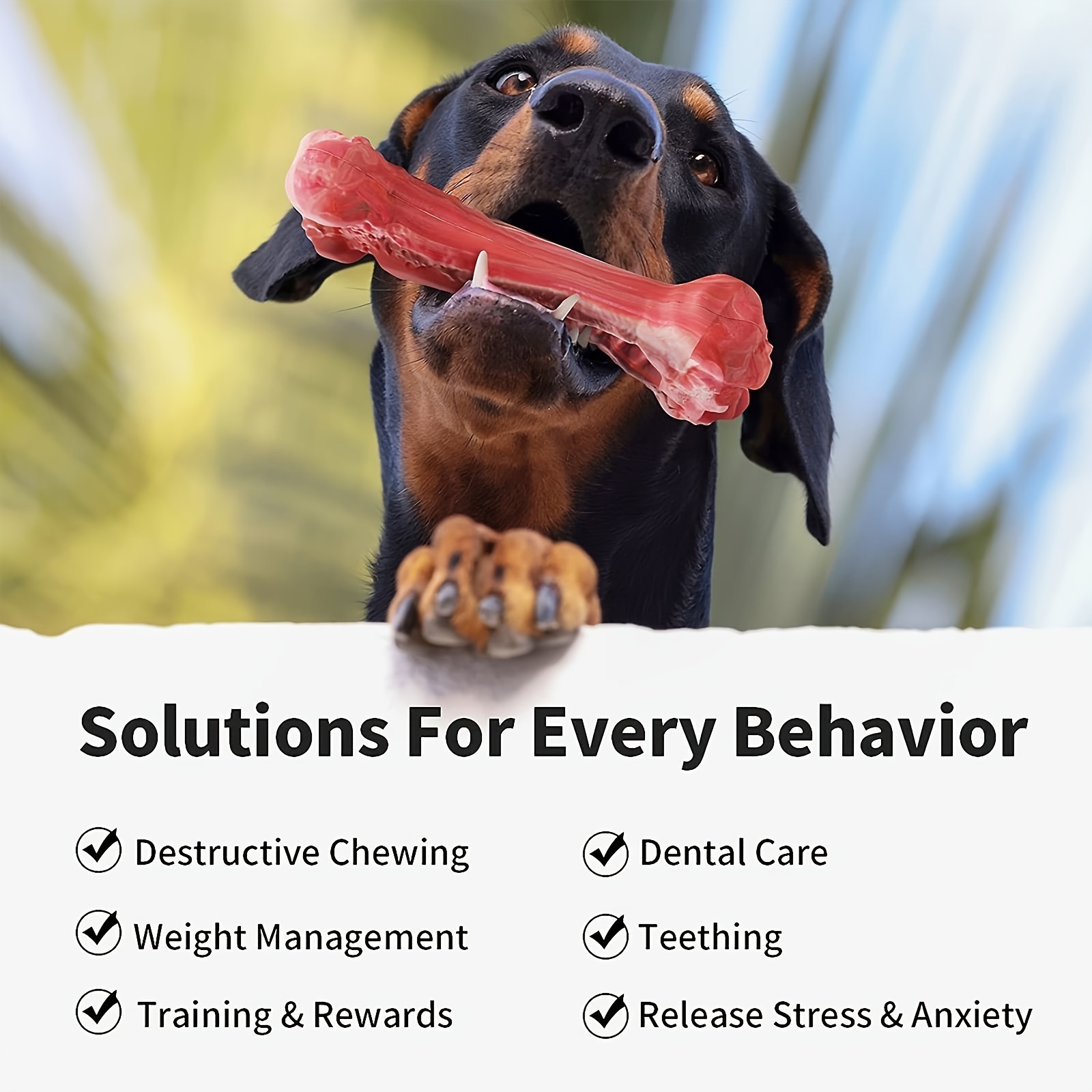 Силиконовая игрушка для собак, – обзор и цена Dog Muzzle Silicone