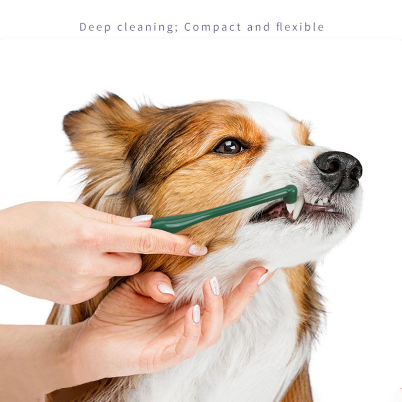 Зубная щетка с микроголовой го – обзор и цена Pet Supplies Coupon