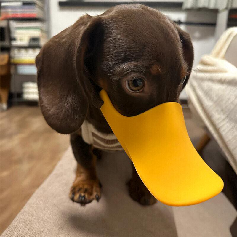 Силиконовый намордник-утка для – обзор и цена Dog Muzzle Silicone