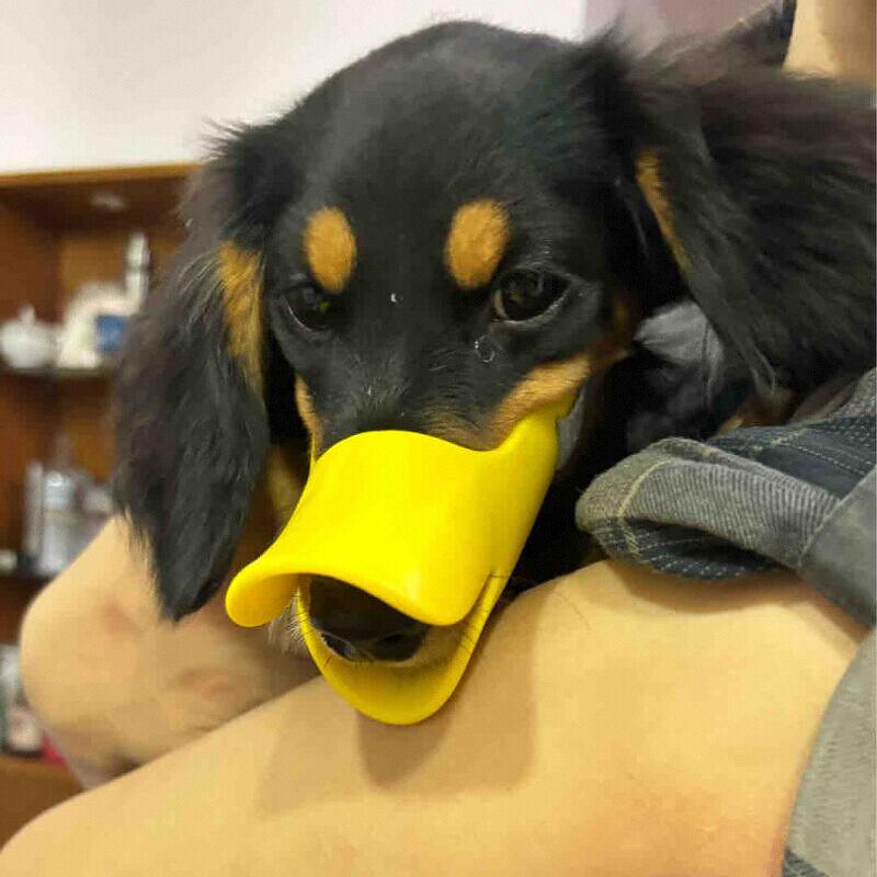 Силиконовый намордник-утка для – обзор и цена Dog Muzzle Silicone