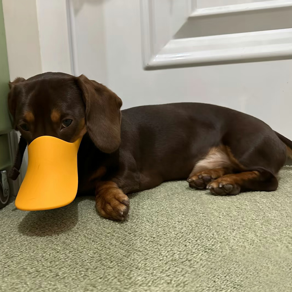 Силиконовый намордник-утка для – обзор и цена Dog Muzzle Silicone