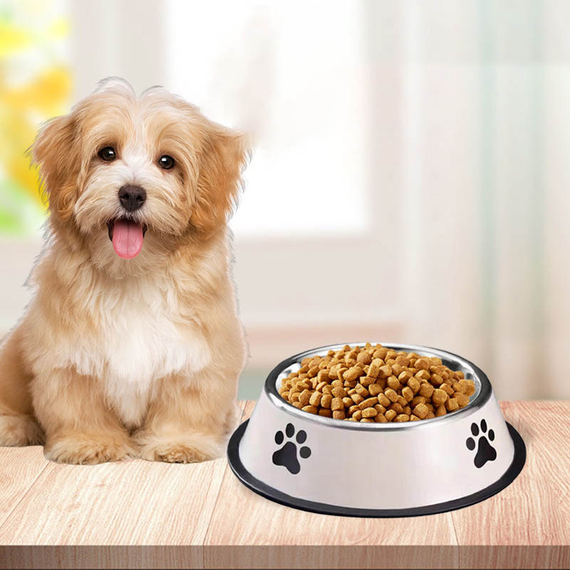 Миска для животных из нержавею – обзор и цена Pet Supplies Coupon
