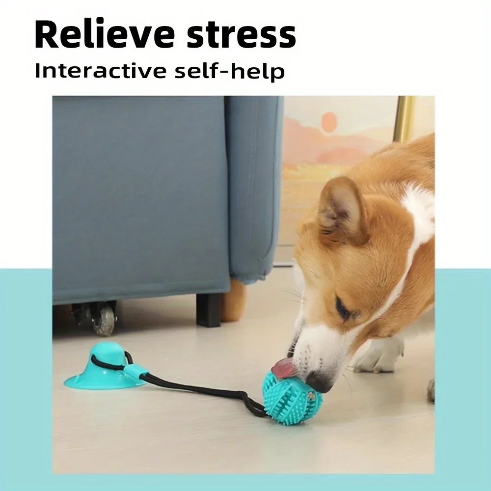 Интерактивная игрушка на присо – обзор и цена Dog Treat Puzzle Toy