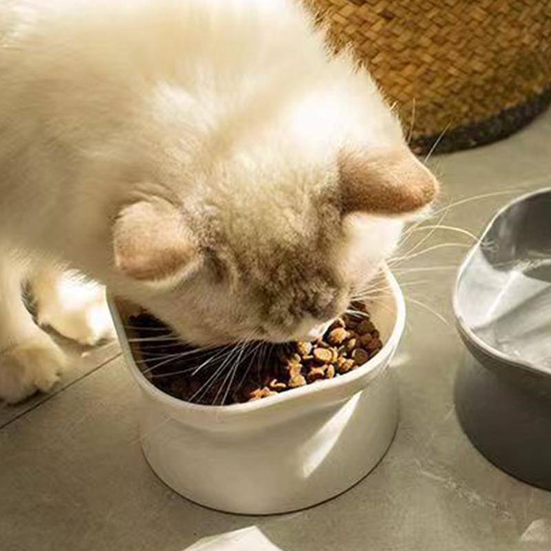 Миска для корма двойного назна – обзор и цена Slow Feeder Dog Bowl