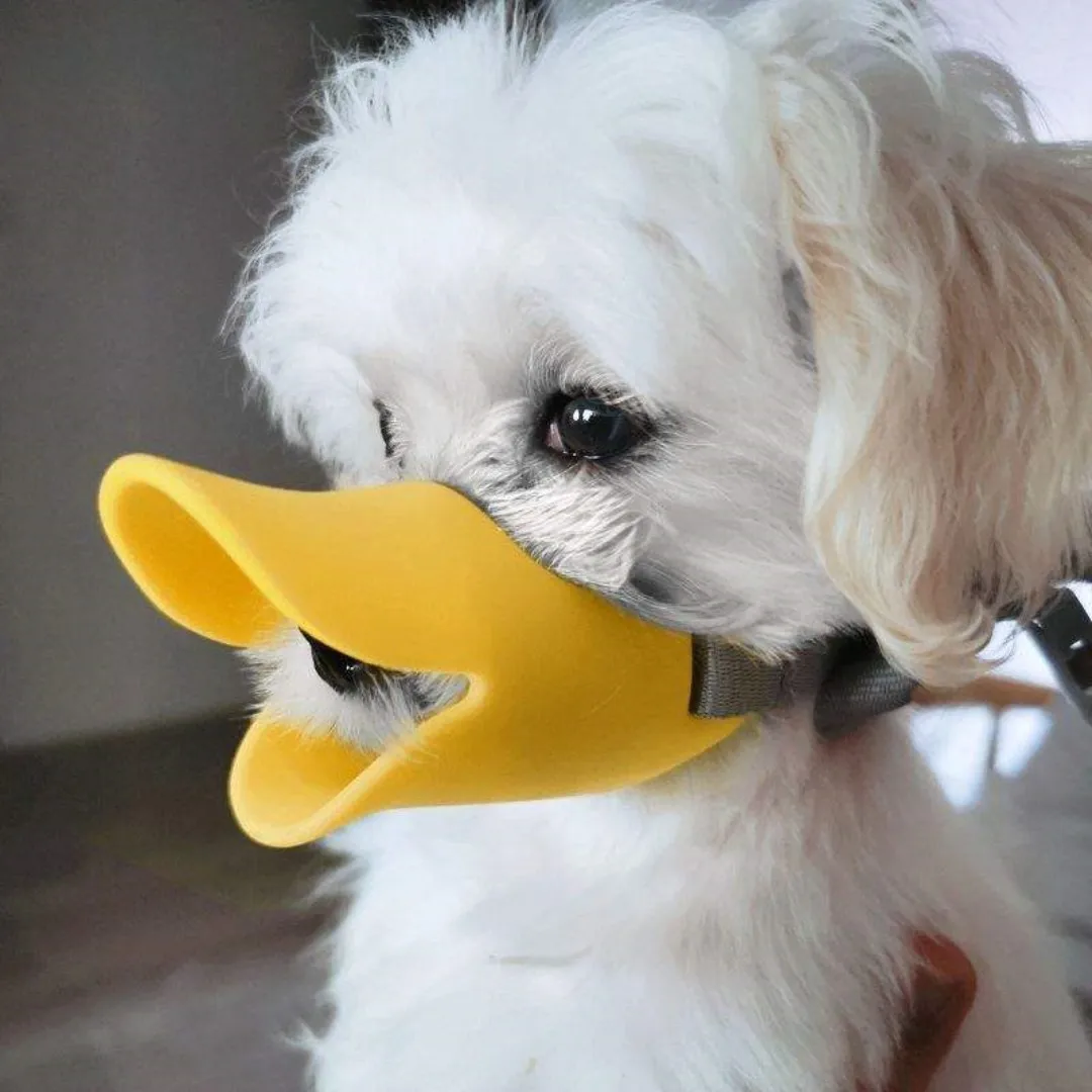 Силиконовый намордник для соба – обзор и цена Dog Muzzle Silicone