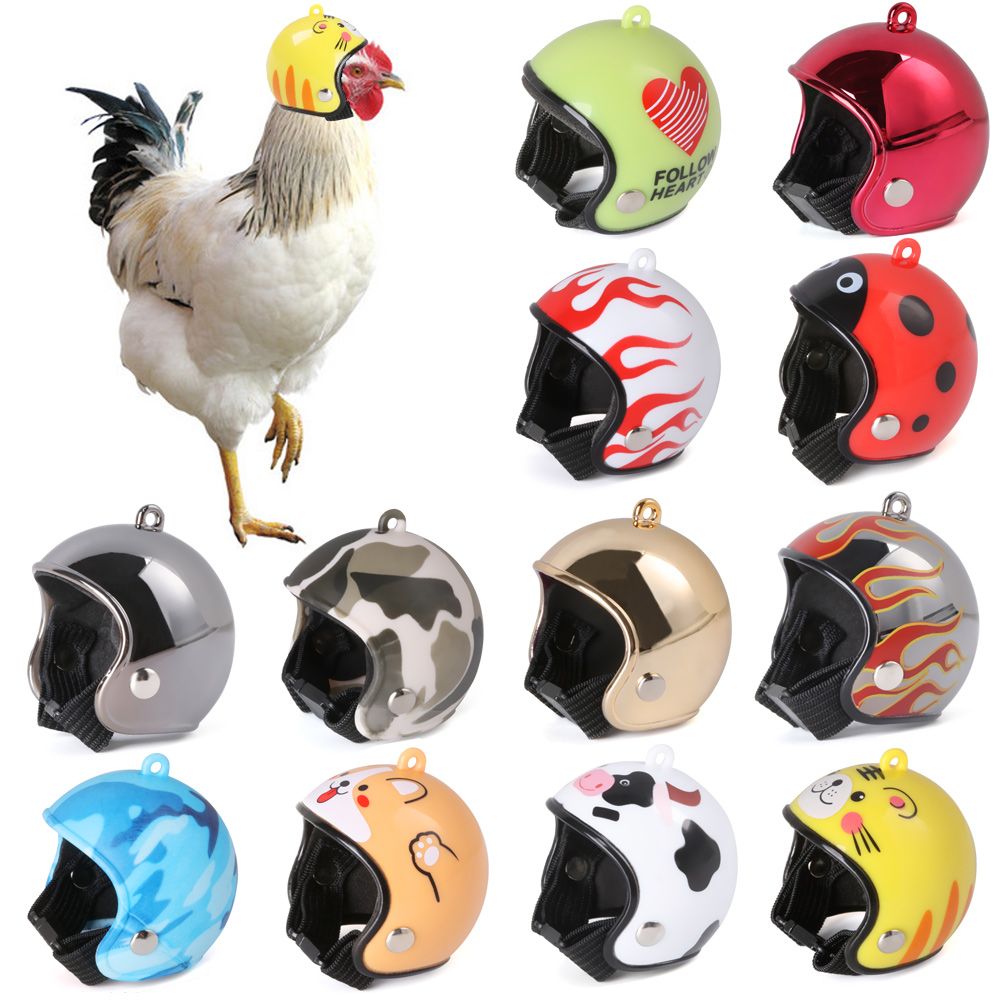 Забавная защитная шапка для до – обзор и цена Pet X Supplies & Tack Photos